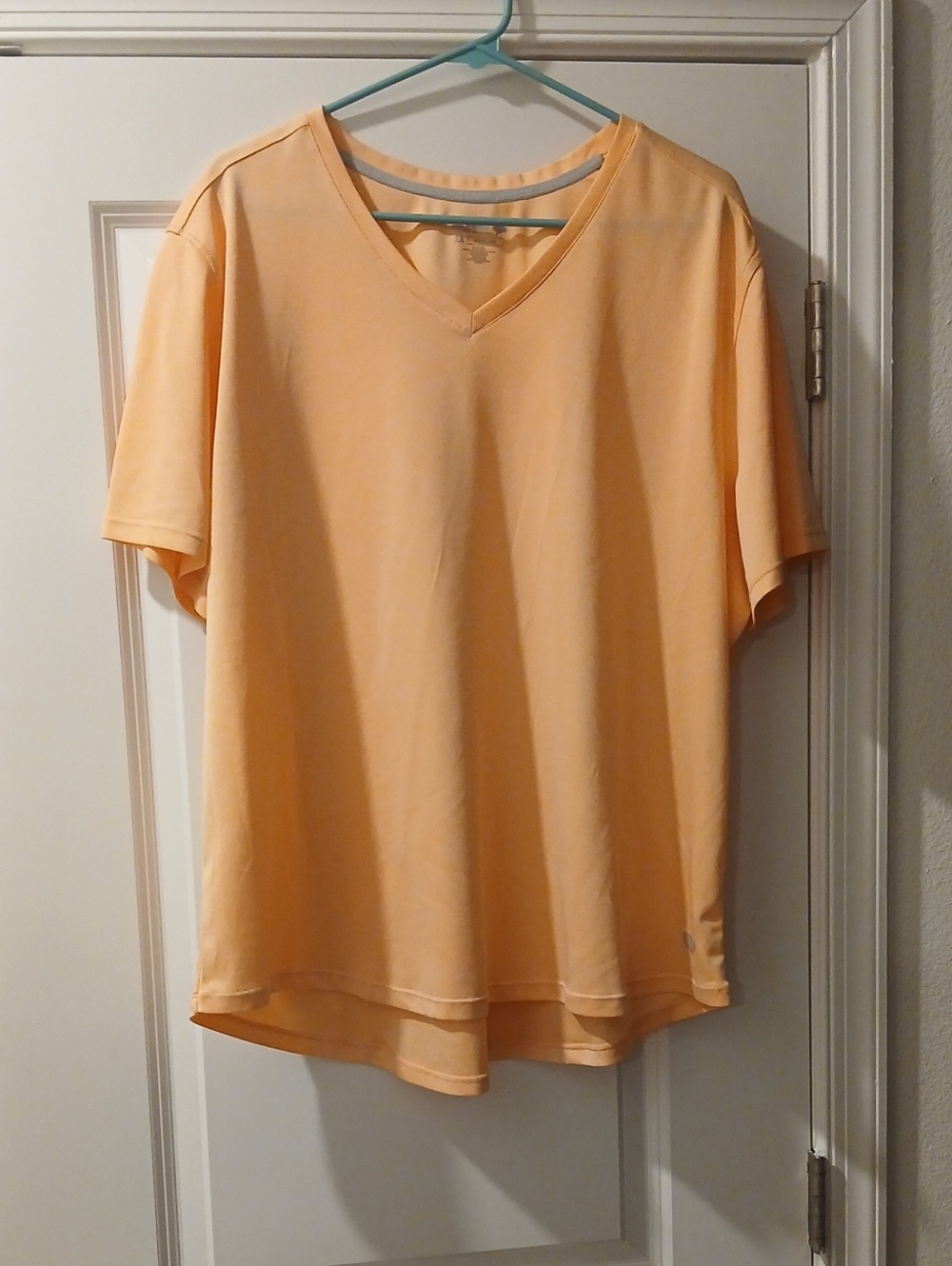 Reel Legends Women's Light Peach V-Neck Short Sleeve Tee